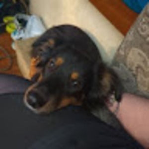 Meet your Posher, Fenris